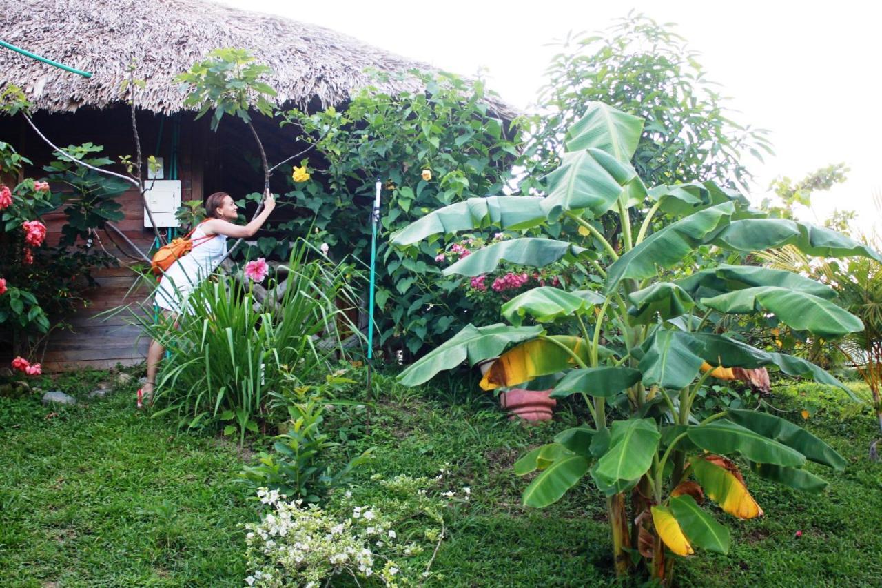 Вилла Cabanas Ecoturisticas Y Club Gaira Tayrona Санта-Марта Экстерьер фото